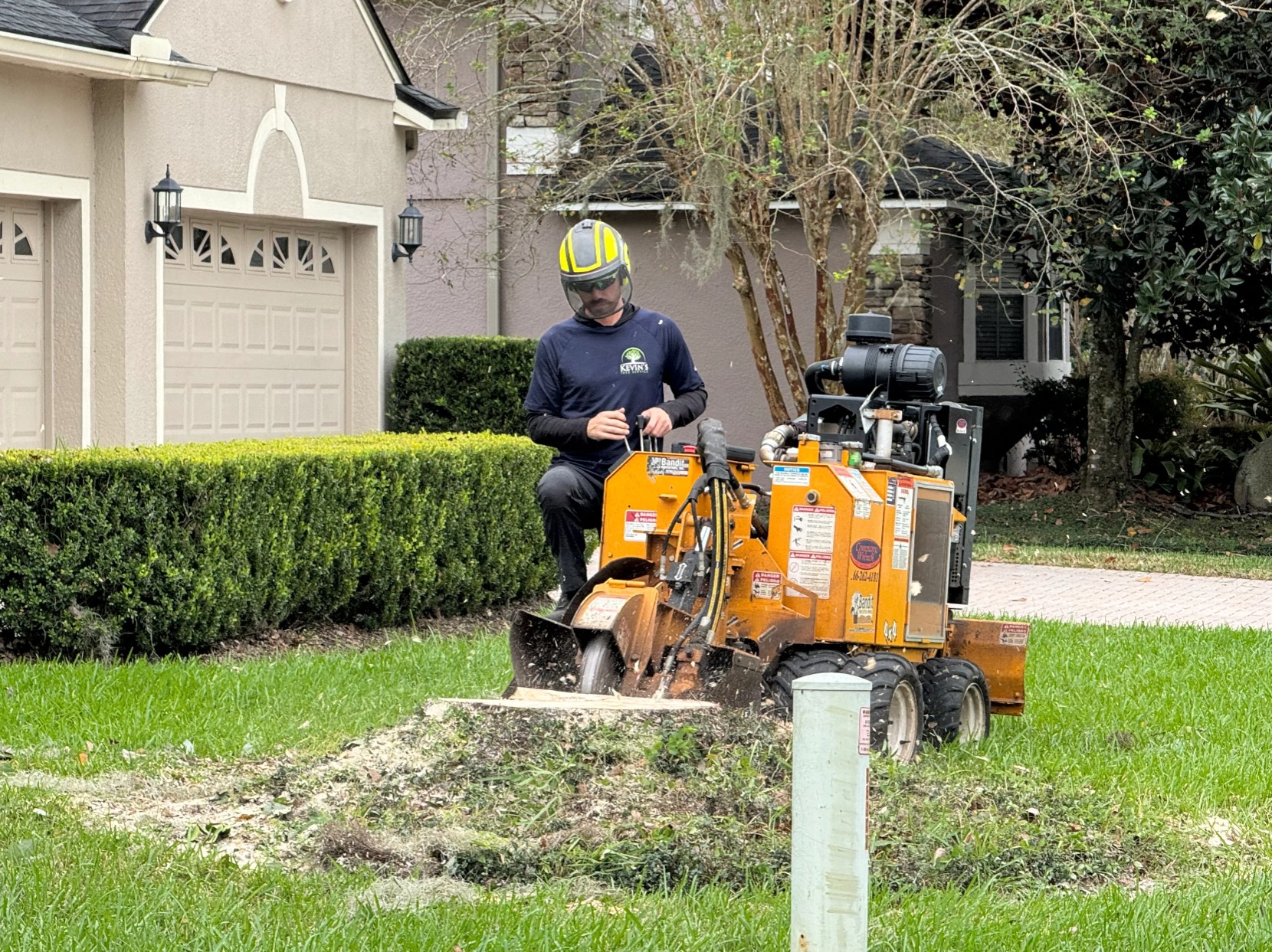 stump grinding in residential yard
